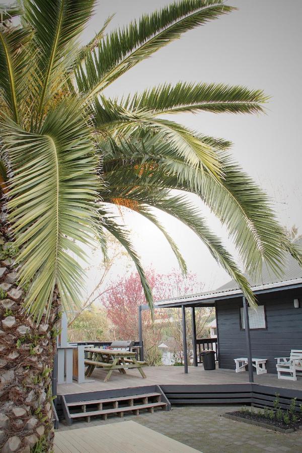بيت شباب هوجو آند كارترز باكباكرز آند موتيل تاورانجا المظهر الخارجي الصورة Phoenix canariensis